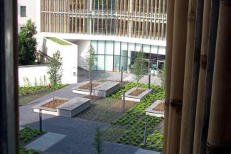 Bamboo slats infront of the glazed façades